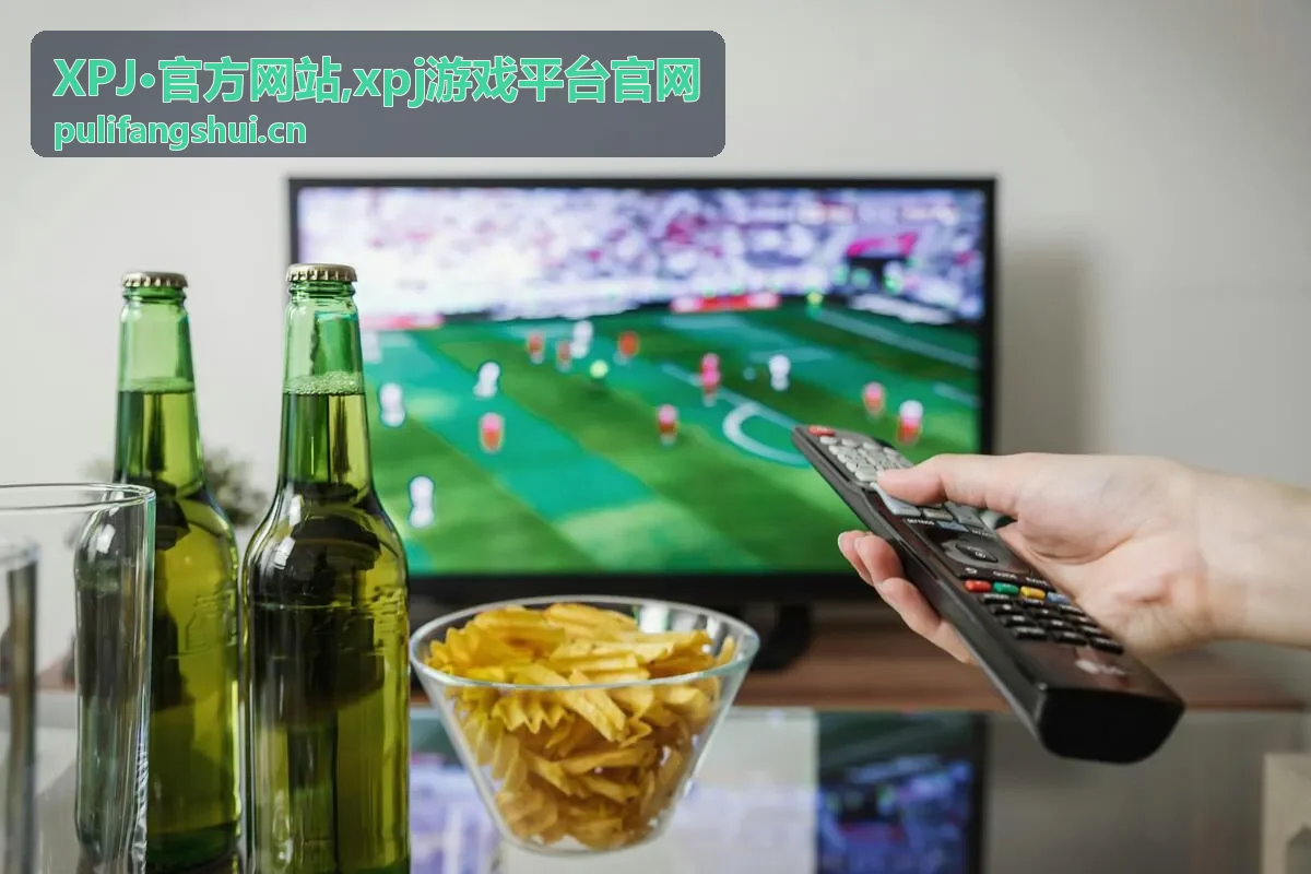 XPJ官方网站 安全提示封面图