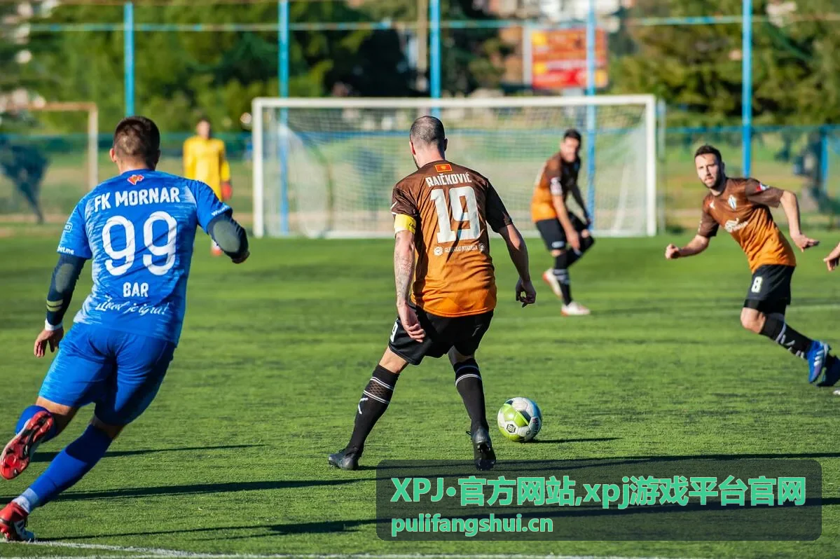 XPJ官方网站 常见问题封面图